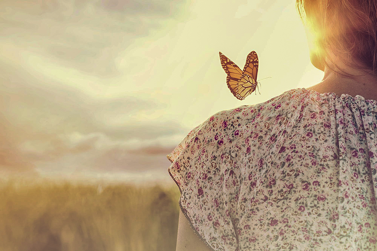 anima farfalla